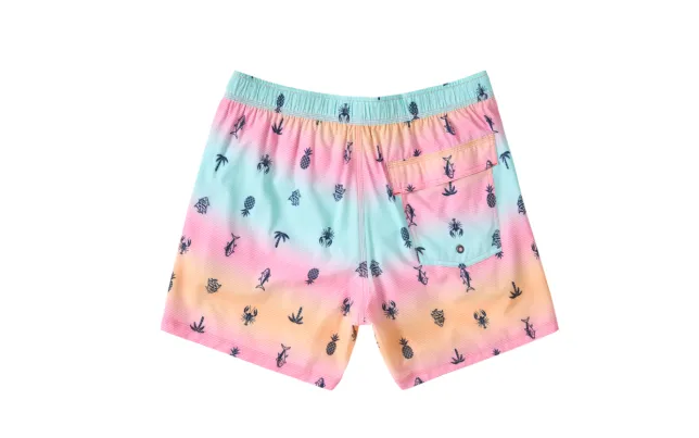 Saxx 5-Inch Oh Buoy 2N1 Volley Swim Trunks - Summer Ombre - Multi